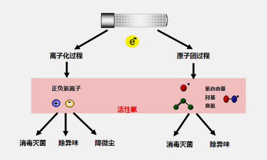 product7-print2.jpg